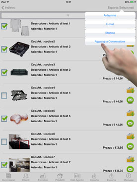 Products Catalog on iPad