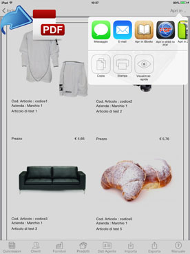 e-catalog on iPad